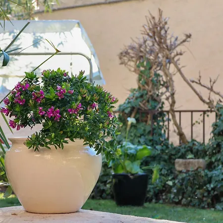 Aurelia Maison Apartment