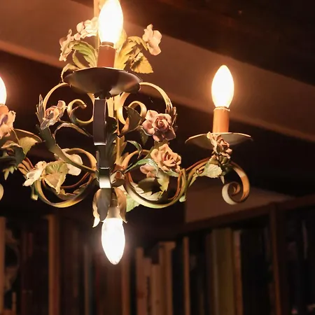 Aurelia Maison Appartement *