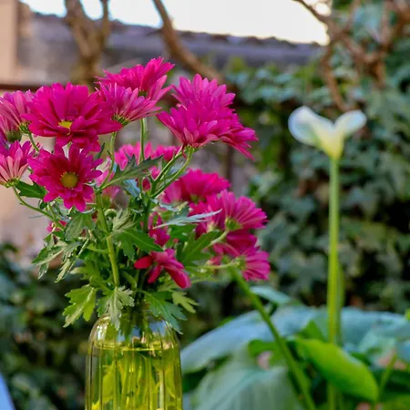 Appartement Aurelia Maison Verona