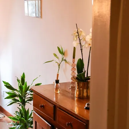 Aurelia Maison Appartement *